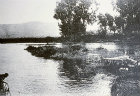 Bethsaida and the River Jordan, circa 1906, old postcard, Palestine