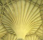 Wells Cathedral,14th century Chapter House, fan vaulting in the ceiling, Wells, Somerset, England, Great Britain