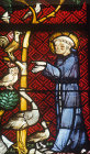 St Francis preaching to the birds, fourteenth century St Francis window, Kloster Kirche, Konigsfelden, Switzerland