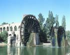 Syria, Hama, waterwheels on the River Orontes