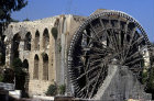 More images from Hama