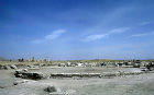 Roman remains, Apamea, Syria