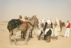 More images from Sahara desert