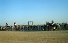 Saharan Desert wedding festival, Douz, Tunisia