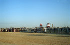 Saharan Desert wedding festival, Douz, Tunisia