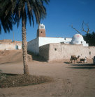 Oasis at Nefta with arab leading camel, Tunisia