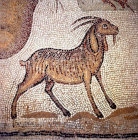 Roman mosaic of a goat, fifth century, from Misis, Archaeological Museum, Antioch, Turkey