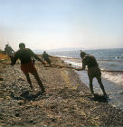 Fishermen hauling in sardine nets, Aegean coast, Turkey