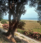 Coast near where St Paul said farewell to the Ephesians, Miletus, Turkey