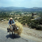 Old man on a donkey below the town of Assos, Turkey