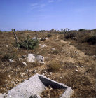 Sacred Way, leading from Miletus to Didyma, Didyma, Turkey