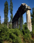 Turkey, Aphrodisias, columns of the main agora amongst trees