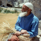 Farmer holding sickle with serrated edge, used to pull wheat or corn up by the roots, Cappadocia, Turkey