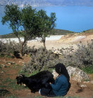 Nomad milking goat, Lake Egridir, Pisidia, south west Turkey