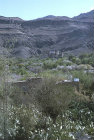 Houses and almond blossom, Hadda, near Sana